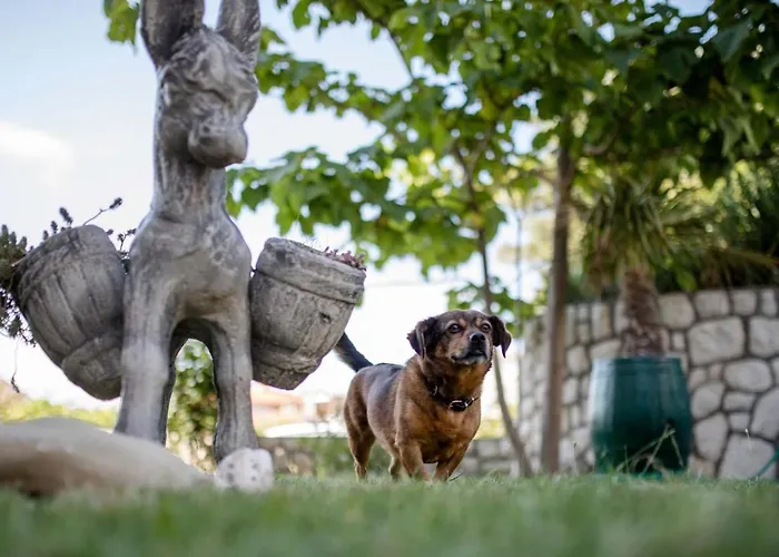 Paradise Apartments Apartamento